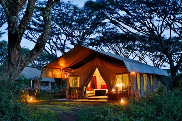 Lemala Ngorongoro
