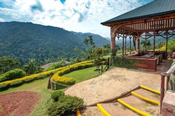 Silverback Lodge Bwindi