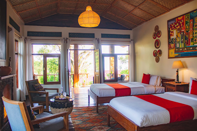 Luxury Forest Suite