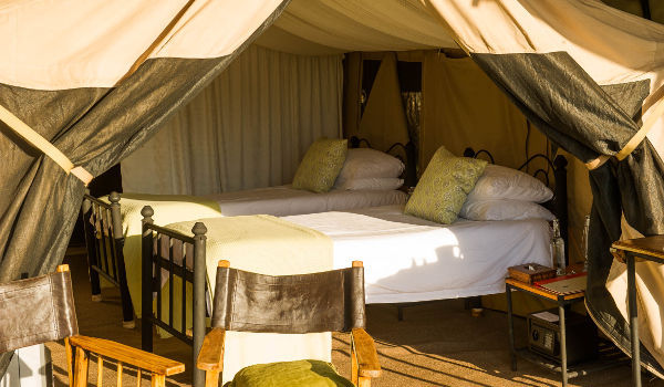 Family Safari Tent