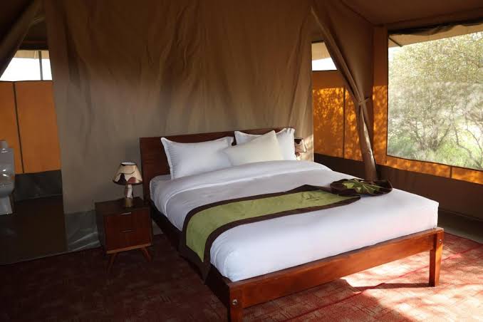 Safari Tents