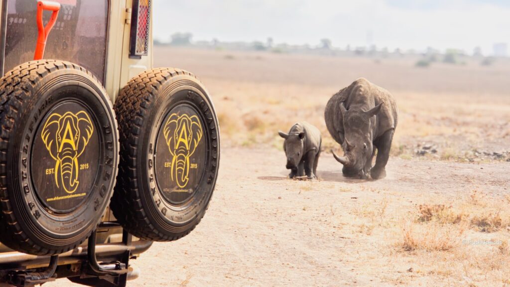 licensed tour operator Kenya