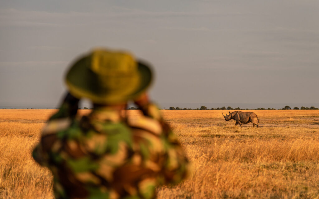 walking safari kenya, ol pejeta rhino tracking on foot