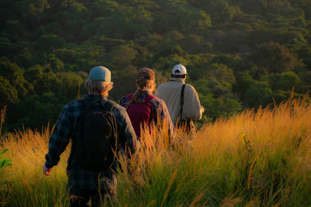 guided walking safari