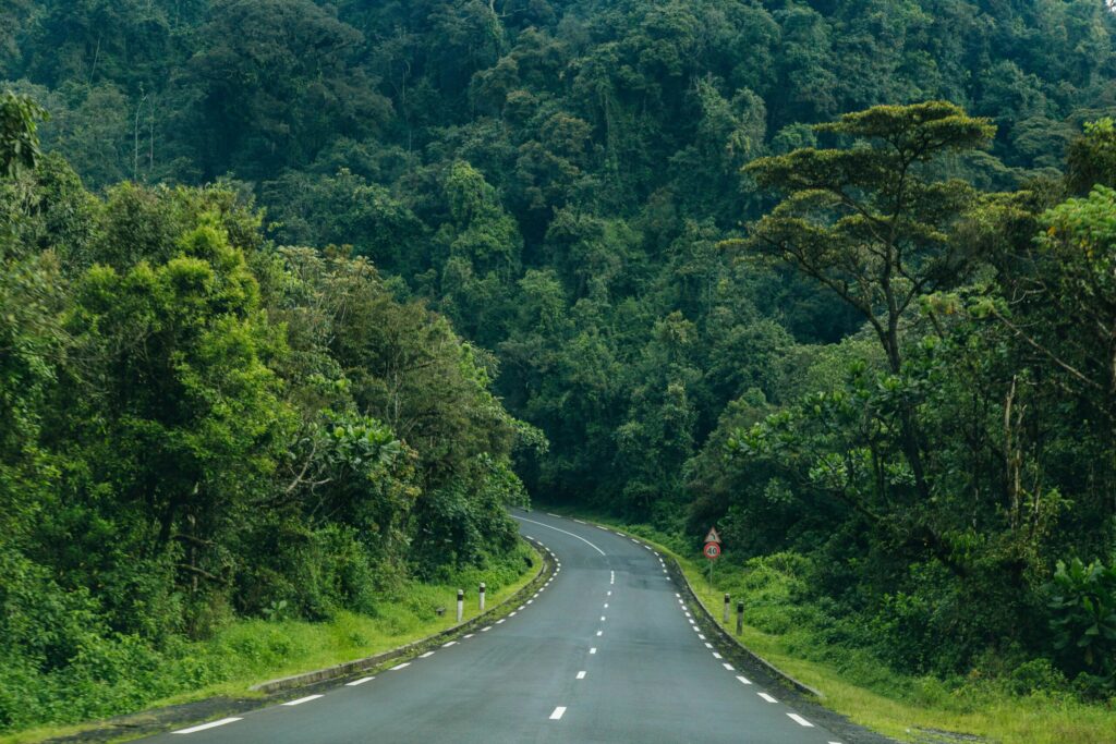Nyungwe Rwanda
