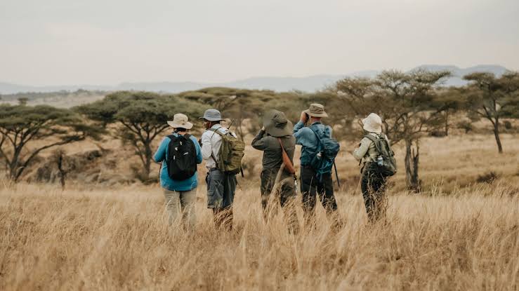walking safaris in kenya