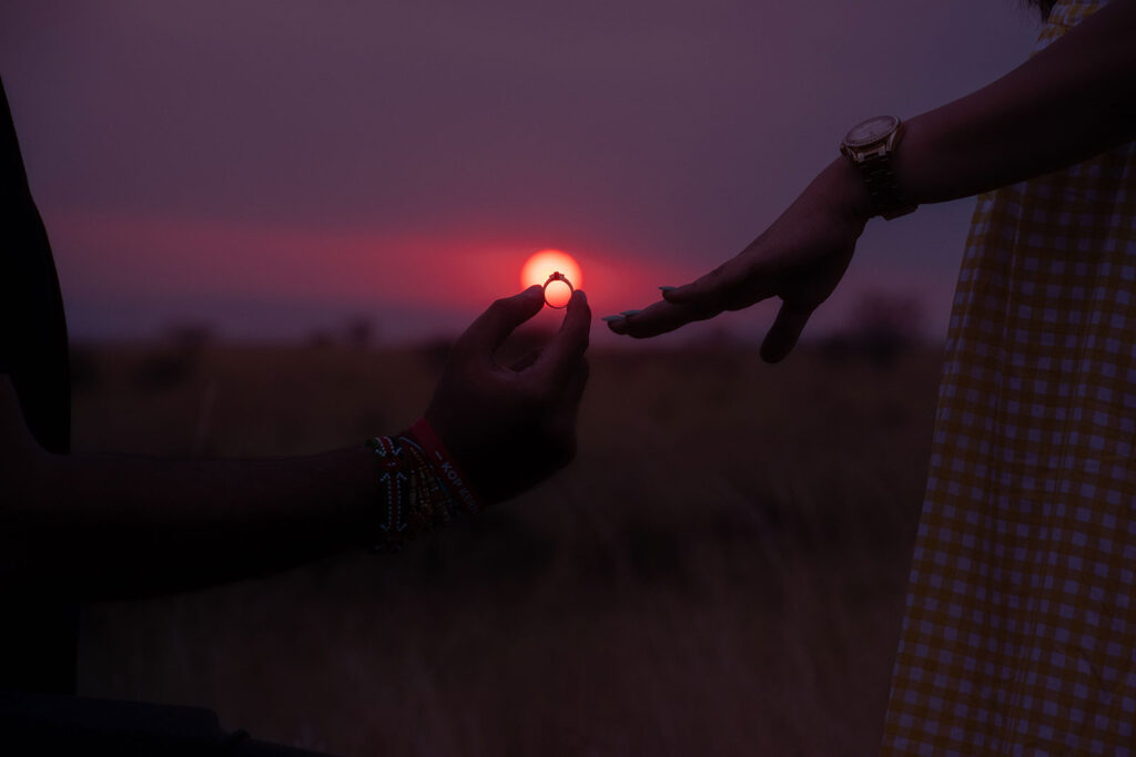Proposing on Safari: How to Plan a Surprise Engagement