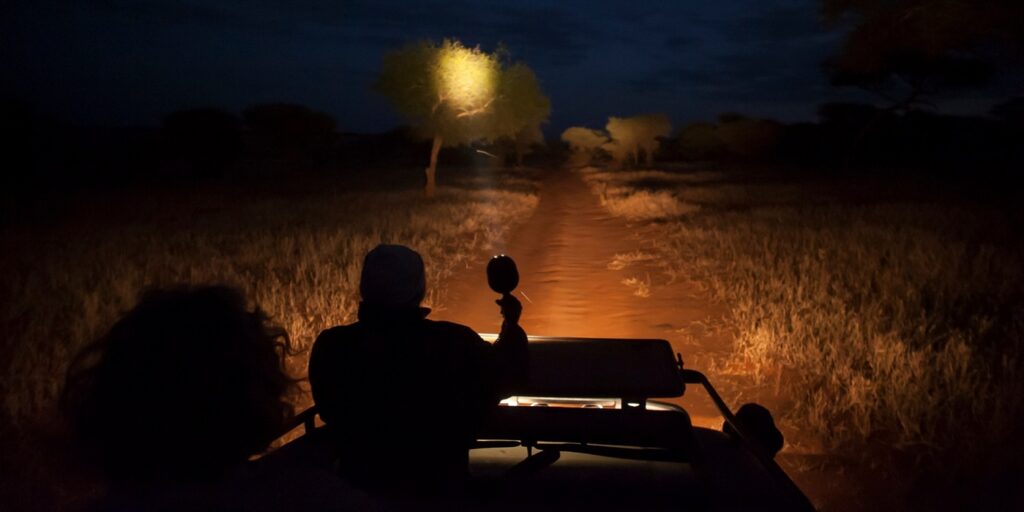 Amboseli night game drive