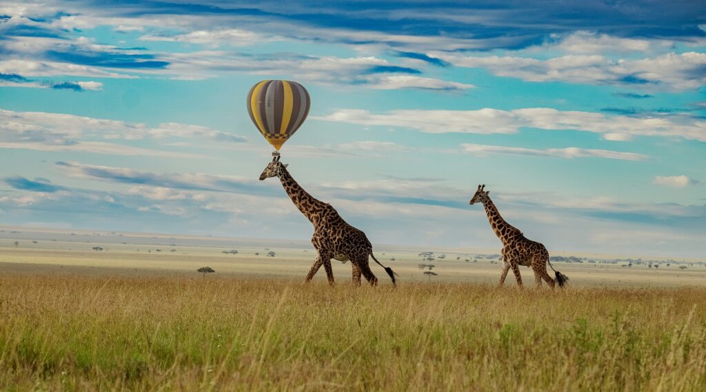 combine mara and serengeti safari