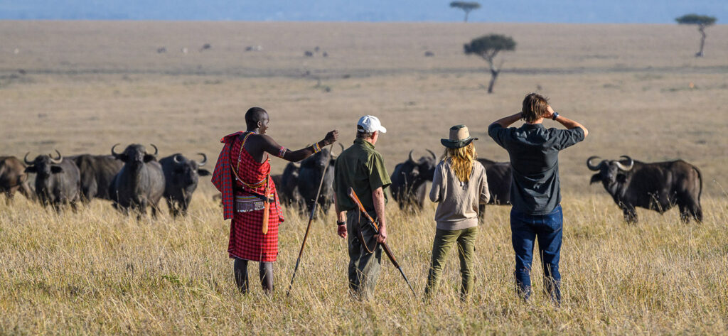 walking safari laikipia