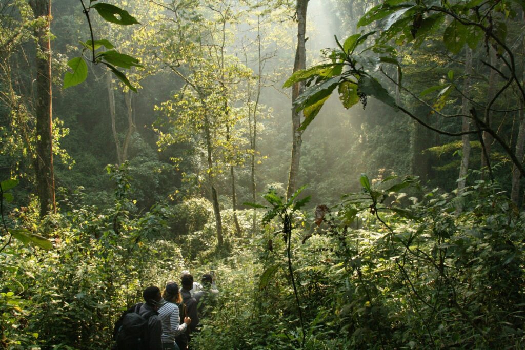 gorilla trekking gear Uganda
