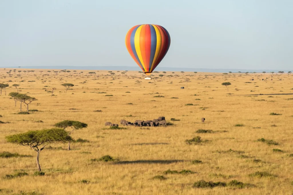 balloon safari weight limit