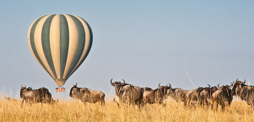 hot air balloon masai mara cost