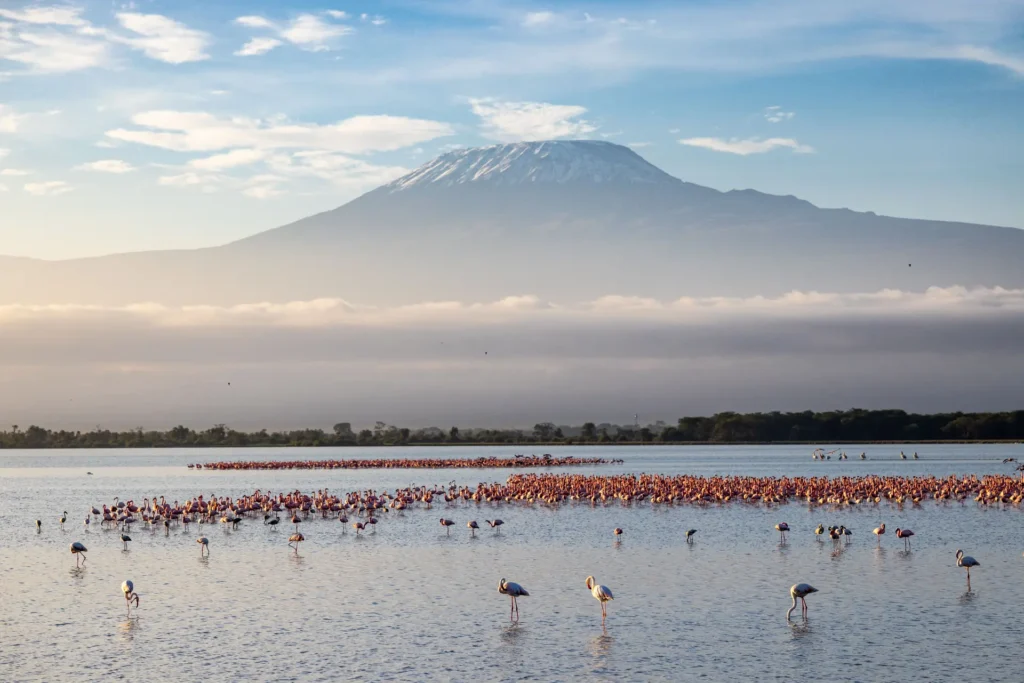 Amboseli luxury safari