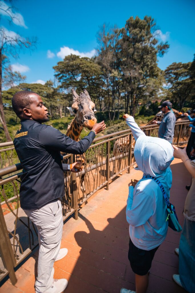 nairobi giraffe centre day trip
