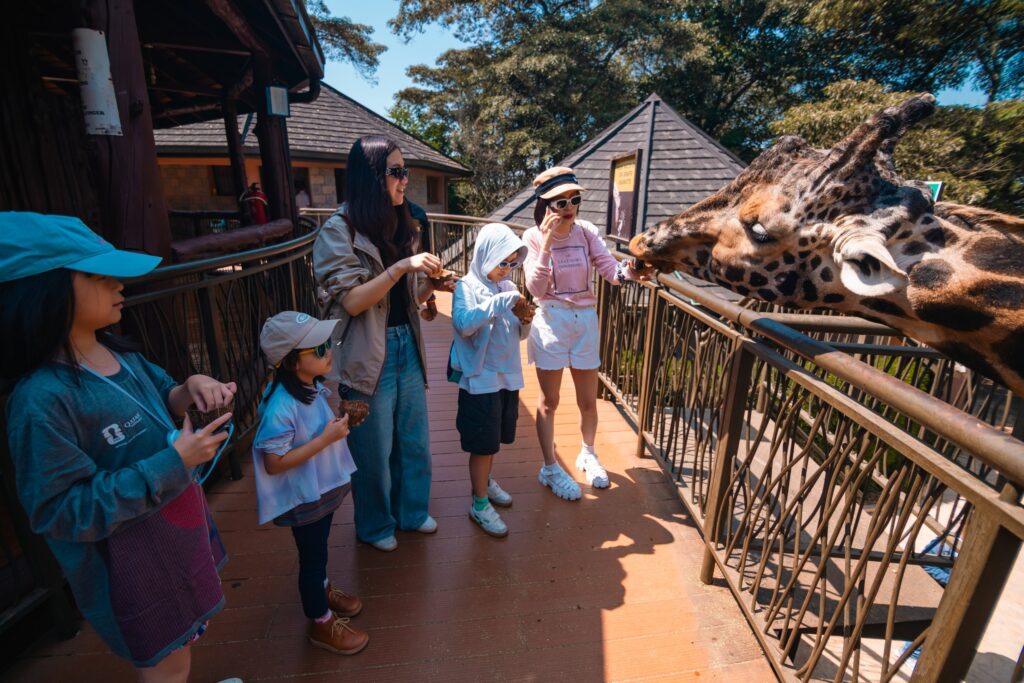 Girafffe centre