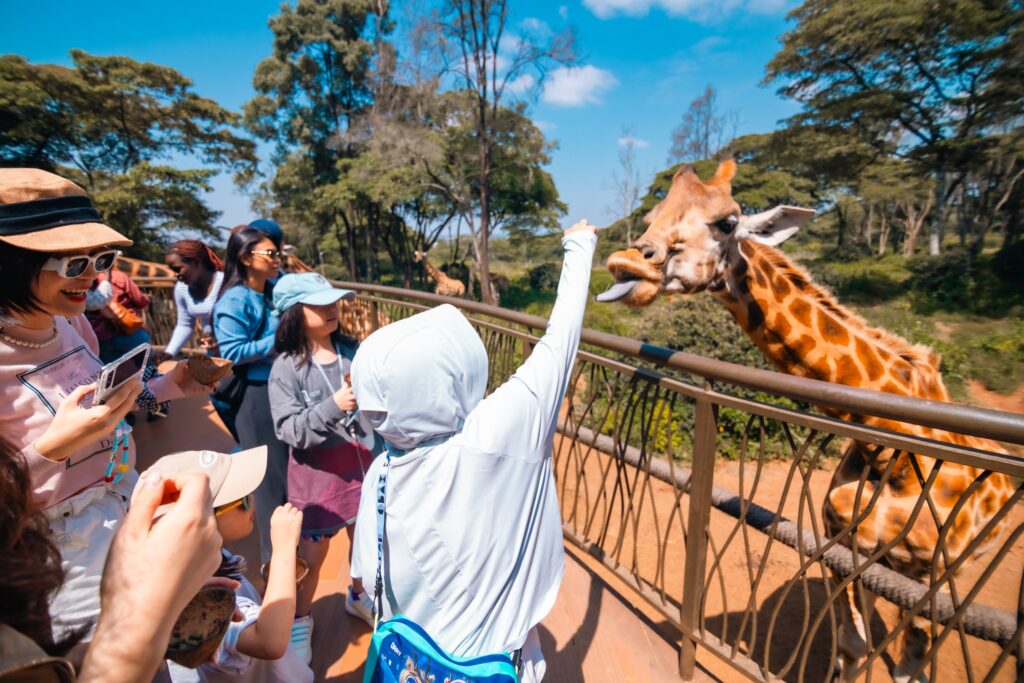 Nairobi giraffe centre