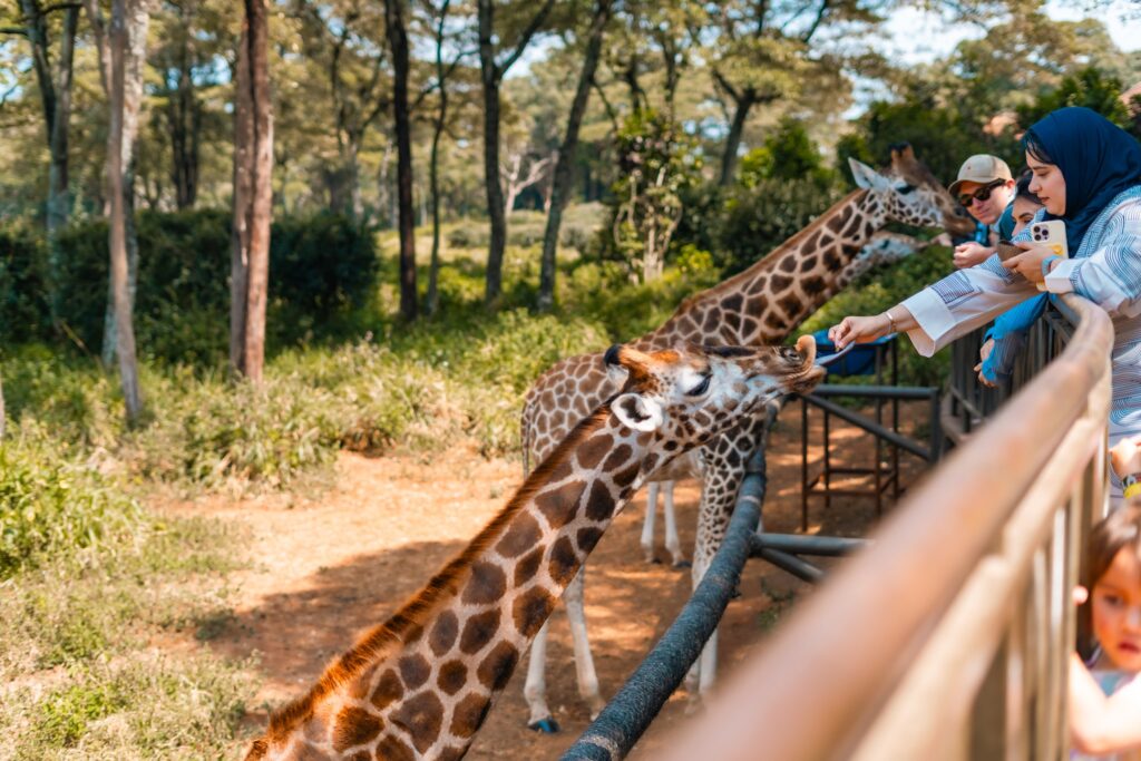 is Kenya safe for toddlers