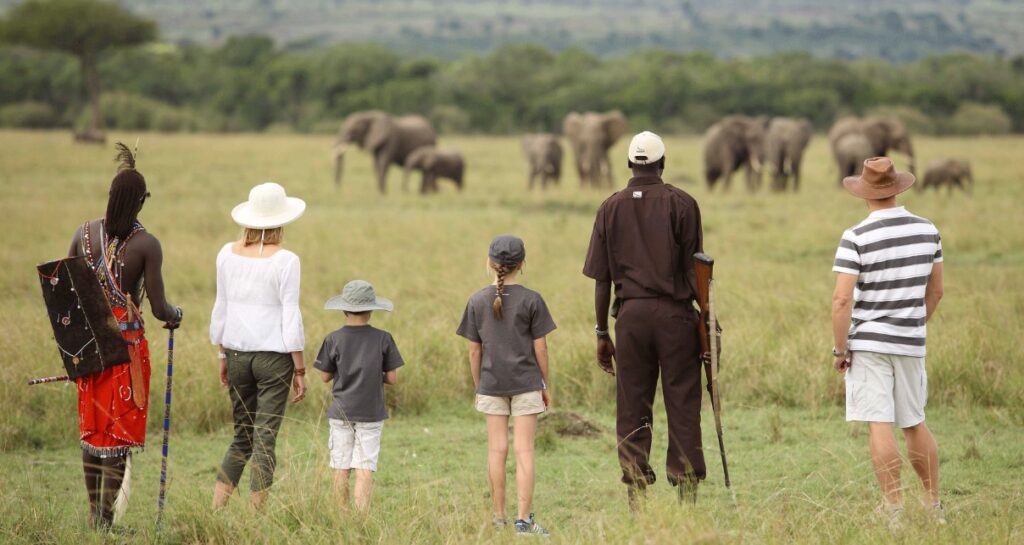 Malaria free family safari kenya