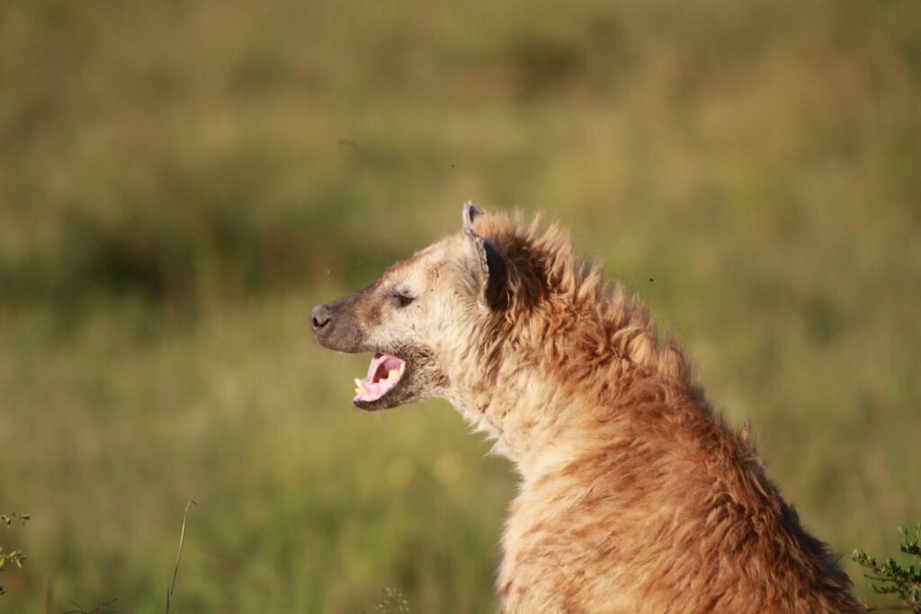 is a women only safari safe