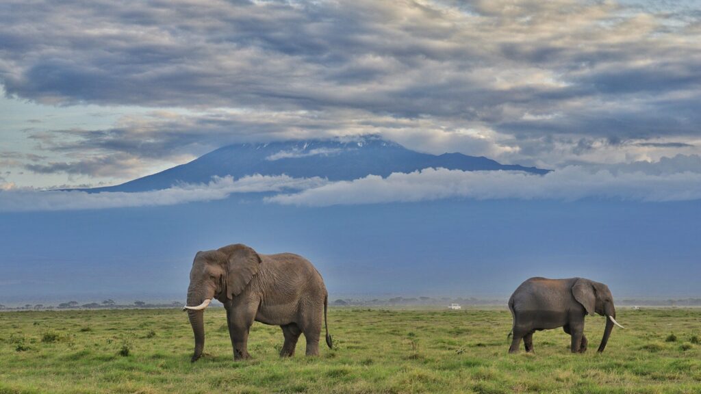 kenya safari cost