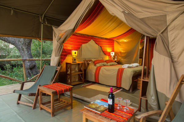 Kenya safari cost 2027