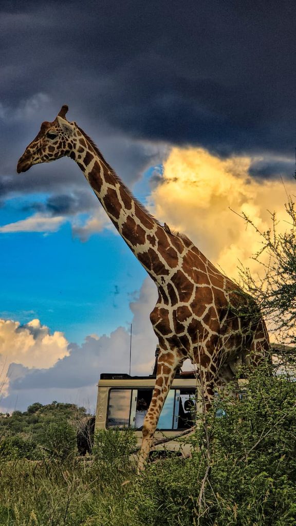 evacuation insurance kenya