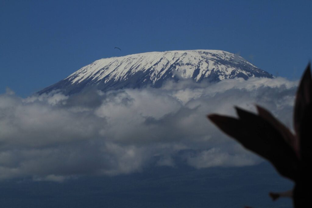 kilimanjaro from Amboseli