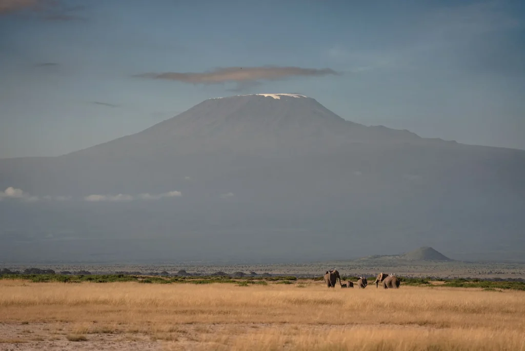 can I see Kilimanjaro from Amboseli