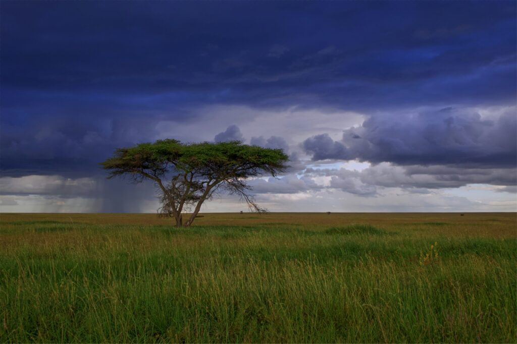 Storm clouds over the Masai Mara plains with a safari vehicle, illustrating weather delays covered by Kenya safari travel insurance