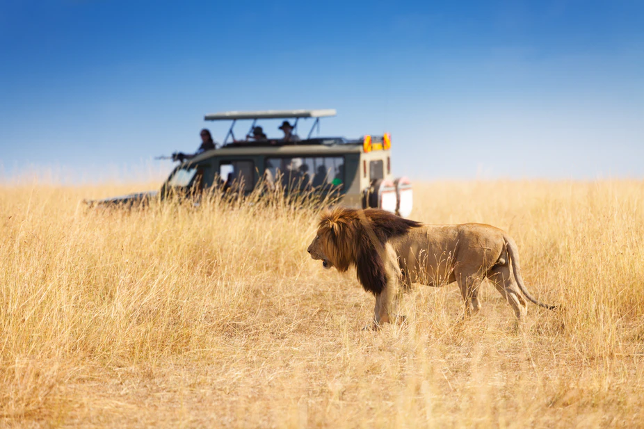 Kenya family safari itinerary