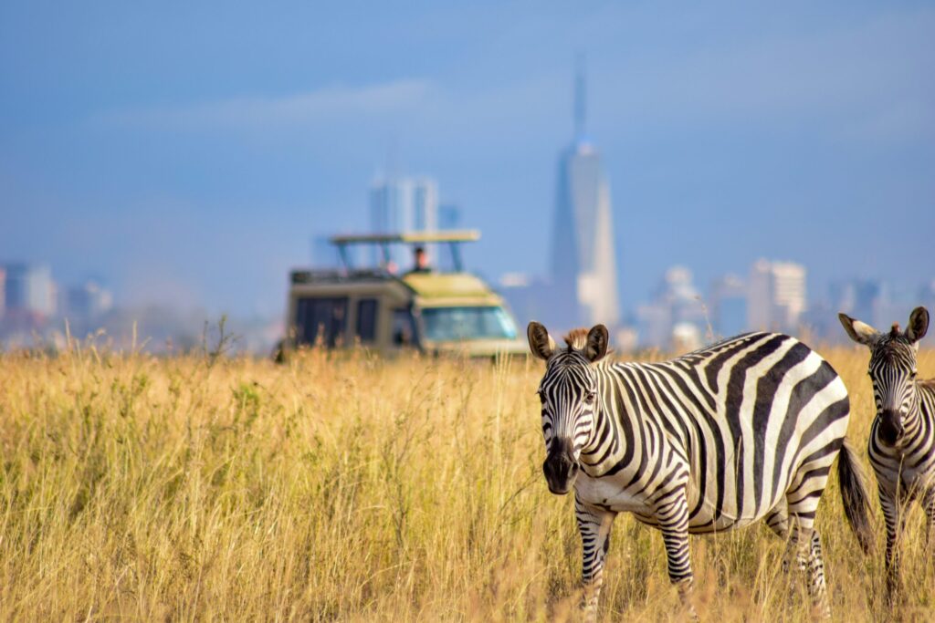 nairobi national park safari