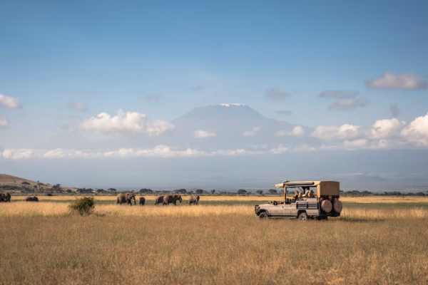 kenya luxury safari